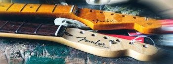 Manches Fender Stratocaster et Telecaster